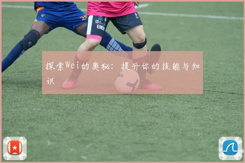 探索Wei的奥秘：提升你的技能与知识