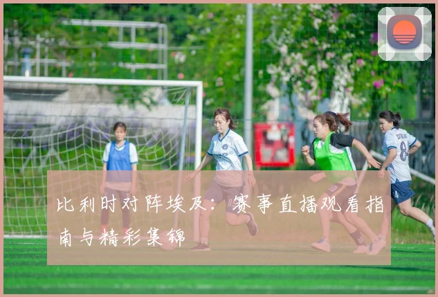 比利时对阵埃及：赛事直播观看指南与精彩集锦