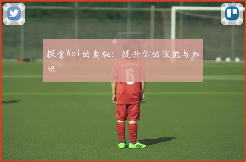 探索Wei的奥秘:提升你的技能与知识