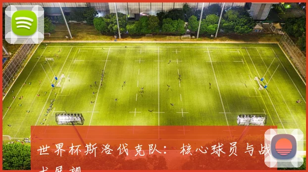 世界杯斯洛伐克队：核心球员与战术展望